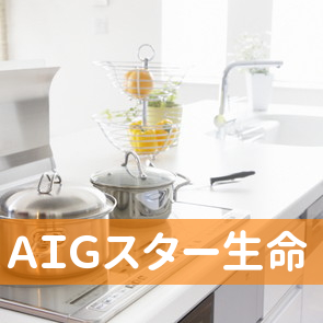 ＡＩＧスター生命／伊勢崎営業所