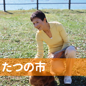 兵庫県たつの市の保険屋へ