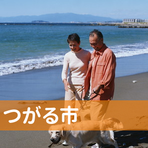青森県つがる市の保険屋へ