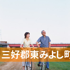 徳島県三好郡東みよし町の保険屋へ