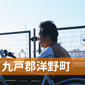 岩手県九戸郡洋野町の保険屋へ