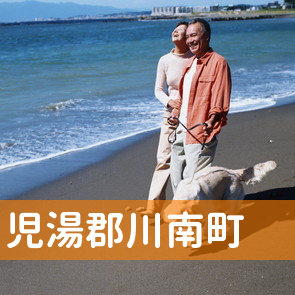 宮崎県児湯郡川南町の保険屋へ