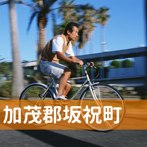岐阜県加茂郡坂祝町の保険屋へ