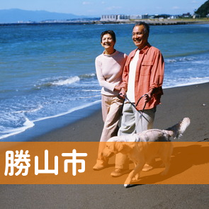 福井県勝山市の保険屋へ