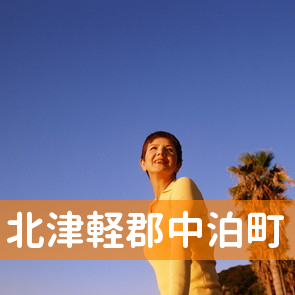 青森県北津軽郡中泊町の保険屋へ
