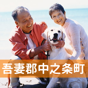 群馬県吾妻郡中之条町の保険屋へ