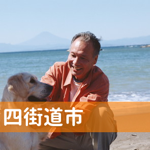 千葉県四街道市の保険屋へ