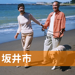 福井県坂井市の保険屋へ