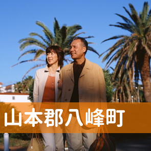 秋田県山本郡八峰町の保険屋へ