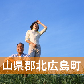 広島県山県郡北広島町の保険屋へ