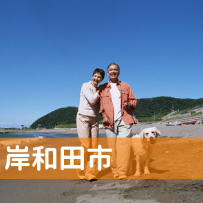 大阪府岸和田市の保険屋へ