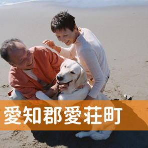 滋賀県愛知郡愛荘町の保険屋へ