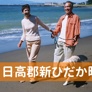 北海道日高郡新ひだか町の保険屋へ