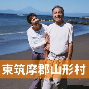 長野県東筑摩郡山形村の保険屋へ