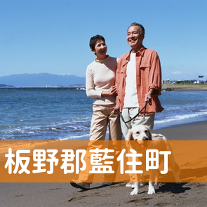 徳島県板野郡藍住町の保険屋へ