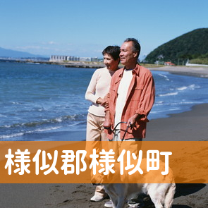 北海道様似郡様似町の保険屋へ