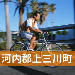 栃木県河内郡上三川町の保険屋へ