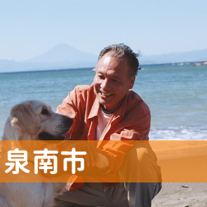大阪府泉南市の保険屋へ