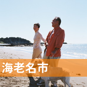 神奈川県海老名市の保険屋へ