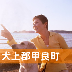 滋賀県犬上郡甲良町の保険屋へ