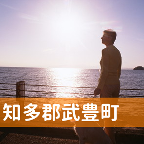 愛知県知多郡武豊町の保険屋へ