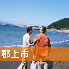岐阜県郡上市の保険屋へ