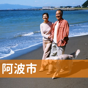 徳島県阿波市の保険屋へ