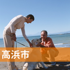 愛知県高浜市の保険屋へ