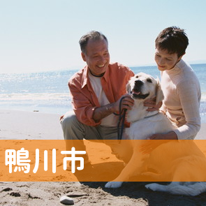 千葉県鴨川市の保険屋へ
