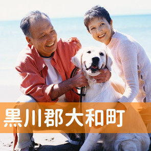 宮城県黒川郡大和町の保険屋へ