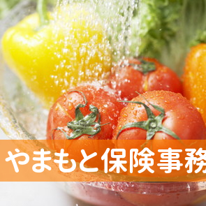 やまもと保険事務所