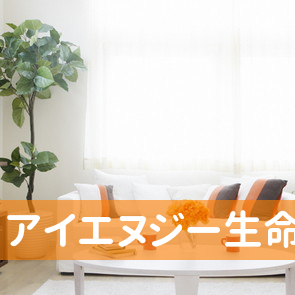 静岡県静岡市葵区のアイエヌジー生命保険（株）静岡支社へ