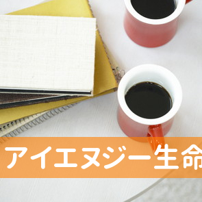 アイエヌジー生命保険（株）京都支社