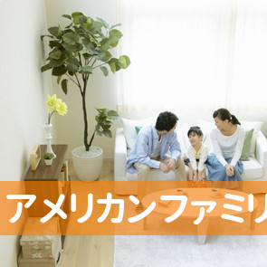アメリカンファミリーサービスショップ常盤商事