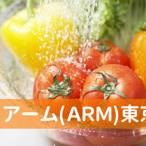 アーム(ＡＲＭ)東京海上あんしん生命