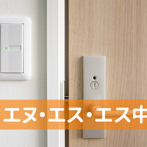 エヌ・エス・エス中田