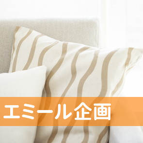 青森県青森市の（有）エミール企画へ