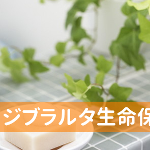 ジブラルタ生命保険（株）／横浜みなと支社