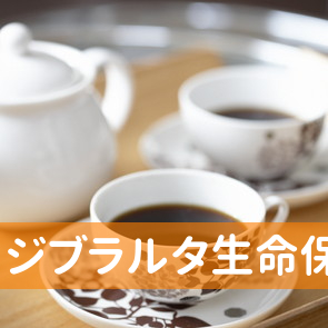 ジブラルタ生命保険（株）／江東支社