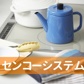 センコーシステム（有）