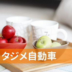 広島県福山市の（有）タジメ自動車へ