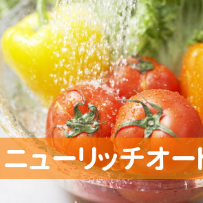 ニューリッチオート損害保険部