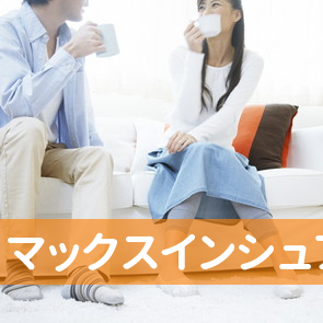 群馬県甘楽郡甘楽町の（有）マックスインシュアランスへ