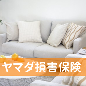 ヤマダ損害保険