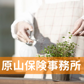 原山保険事務所