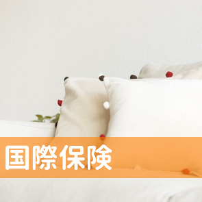 国際保険（株）