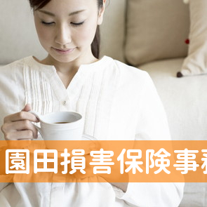 園田損害保険事務所