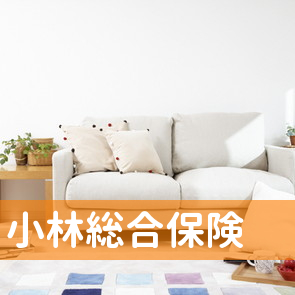 長野県松本市の小林総合保険へ