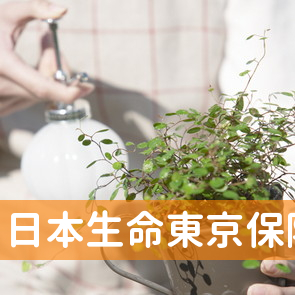 日本生命東京保険代理社松戸支社
