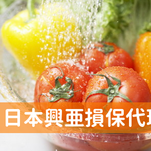 日本興亜損保代理店堀内建物開発
